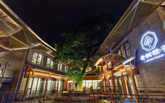 Anjing Old Tree Courtyard (Emeishan Scenic Area)