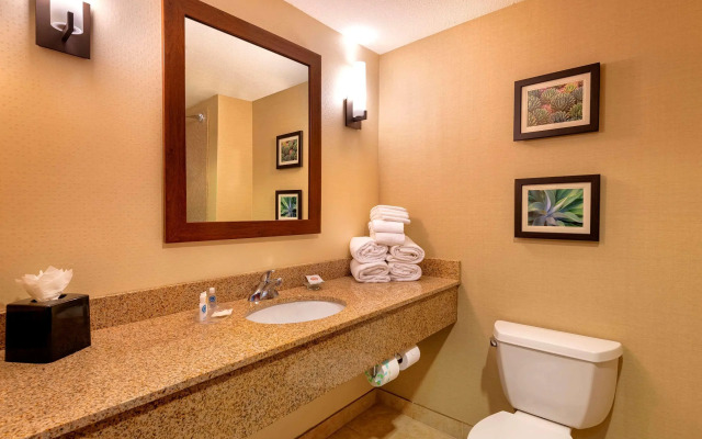 Comfort Suites Goodyear - West Phoenix