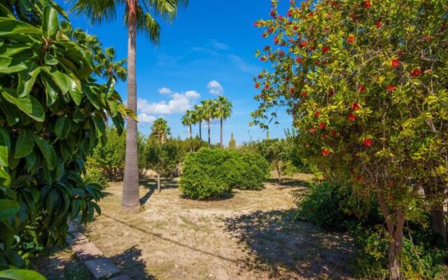 Holiday Home Sa Olivera - ALC160