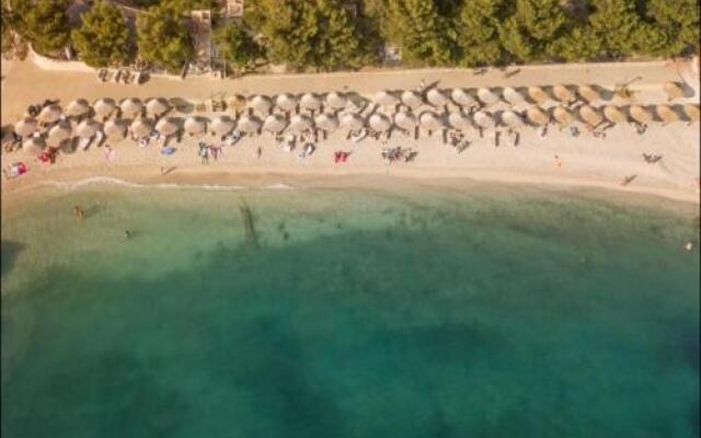 Apartments Solmar
