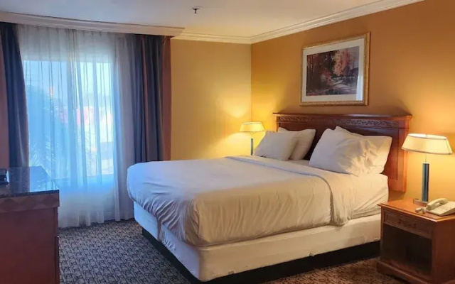 Hotel Xola