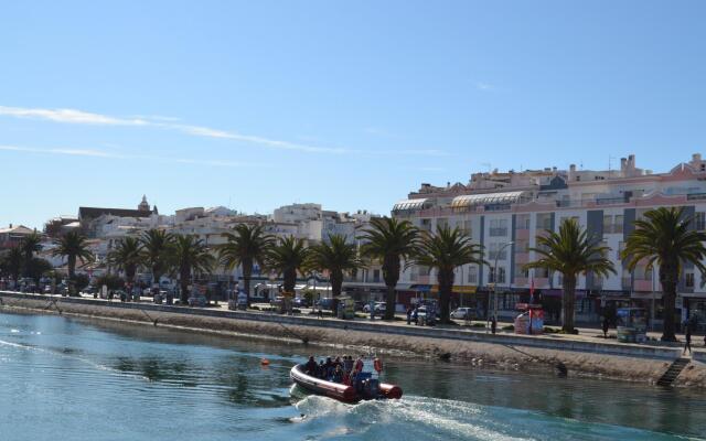 Central Lagos Spacious Apartment by Ideal Homes