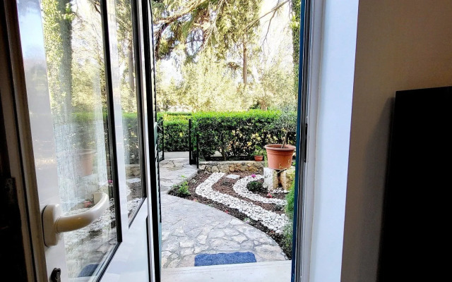 Green Terrace Apartment I