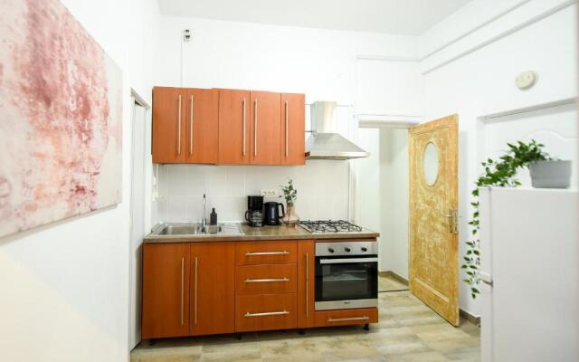 THE INDUSTRIAL. Huge Unirii Square Apartment