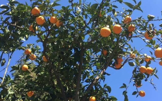 B&B Casa Maria Vittoria