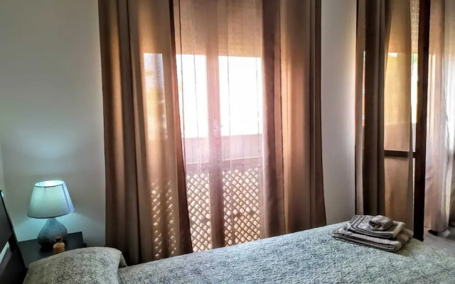 B&B Libellula