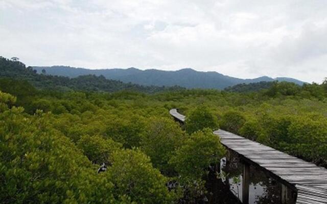 The Mangrove Hideaway Koh Chang