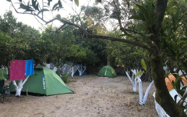 Bodrum Masali Camping