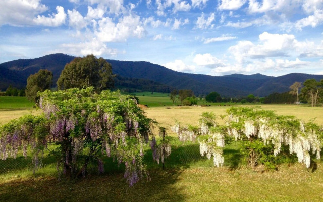 Alpine Views Unit 2 - Porepunkah