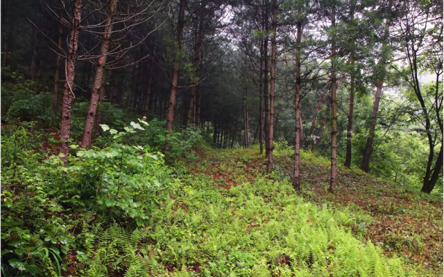 Hoengseong Pyramid Pension