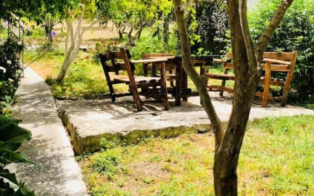 ΝΙRΑSΤΕRΟ - The house in the trees