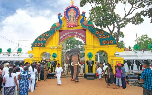 Humbhaha Jungle Nature Eco Resort