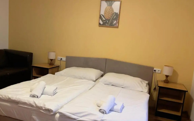 Penzion U Kocoura