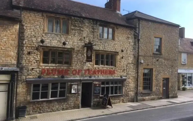 The Plume of Feathers