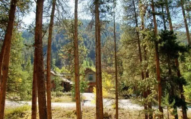 Lenawee Log Home In Dillon