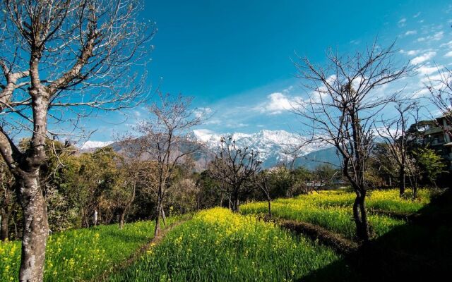 Ketav's Ayush Health Paradise