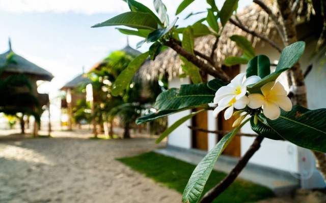 Whisky Point Resort