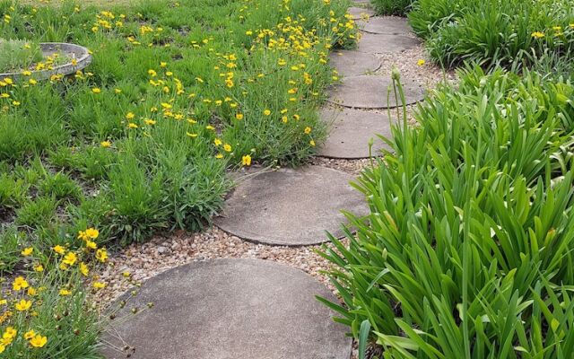 Sherwood's Country House