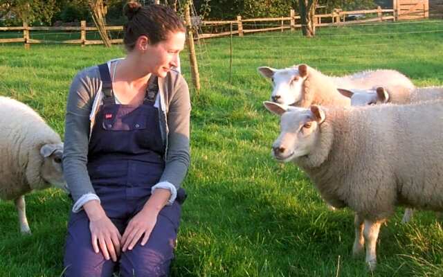 Het Geheim Van Merselo