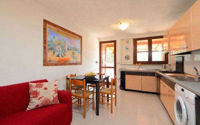 Bouganville 9878