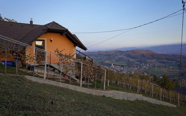 Vineyard Cottage Bregac