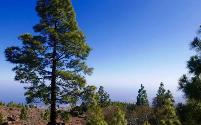 Unique Stargazing Escape With Ocean View