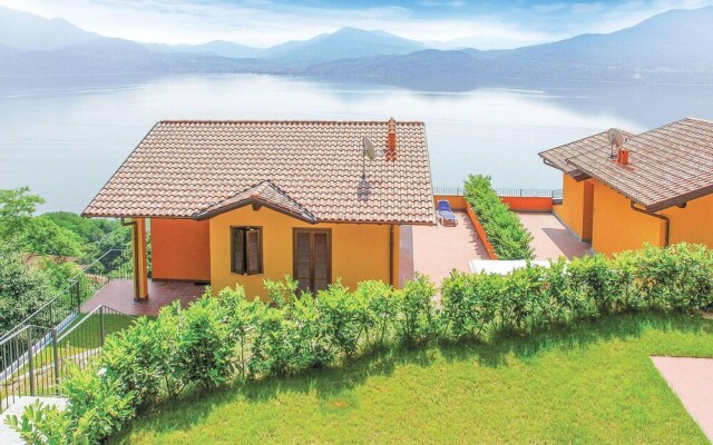 Vigneto due - Trilo 6