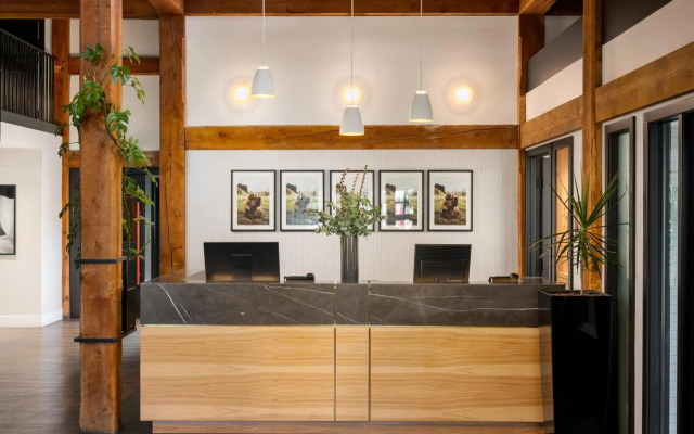 Buffalo Mountain Lodge