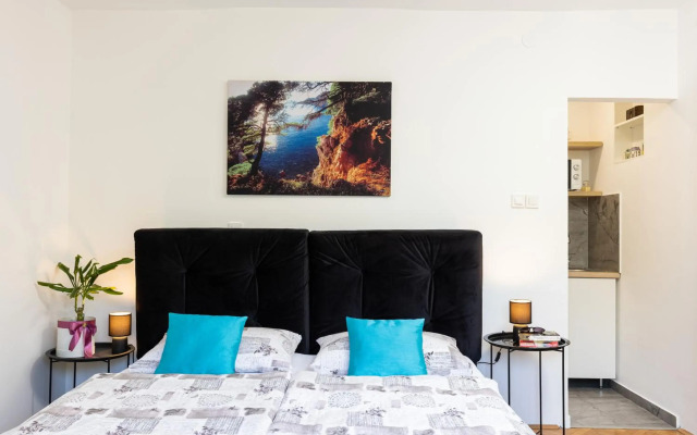 Apartment Alpha and Studio Simba