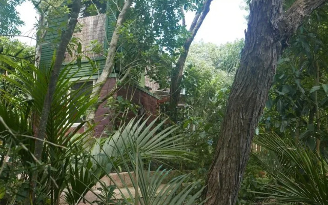 Palm Beach Bungalows