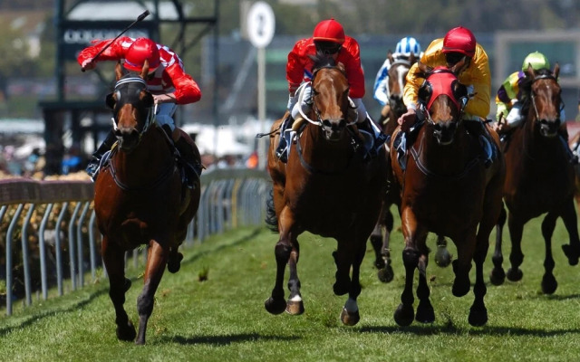 The Central Gathering