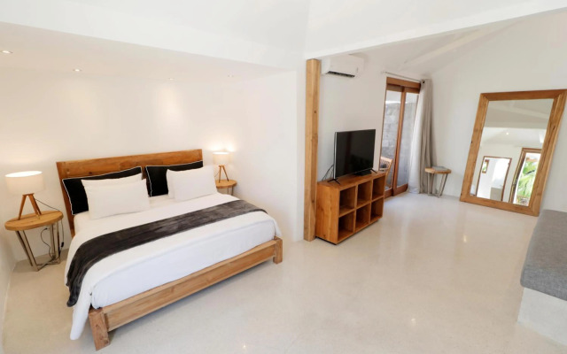 Amazing 3 Bedrooms Villa Canggu