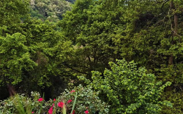 Piso amplio y luminoso, La Pomar