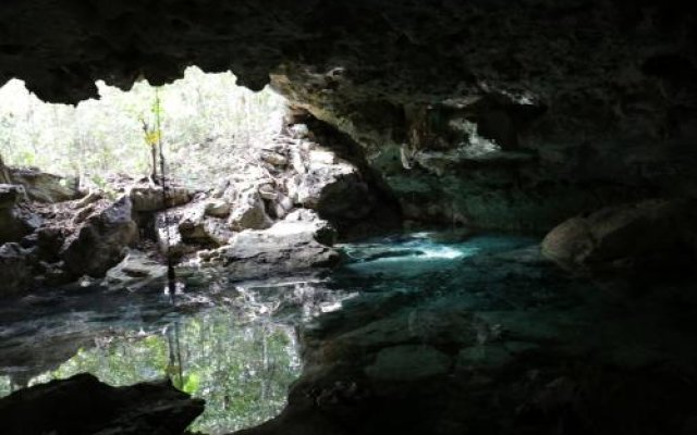 Cavelands in The Jungle