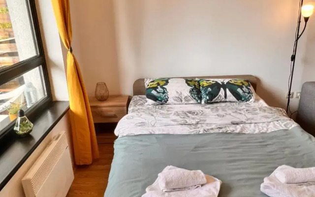 Cosy studios with mountain view near Bansko