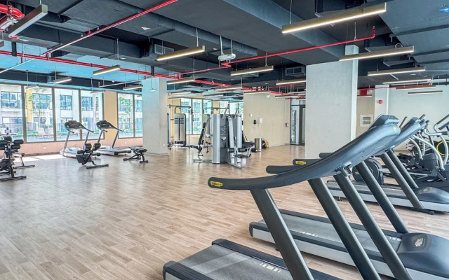 Pure Voyage Town Square