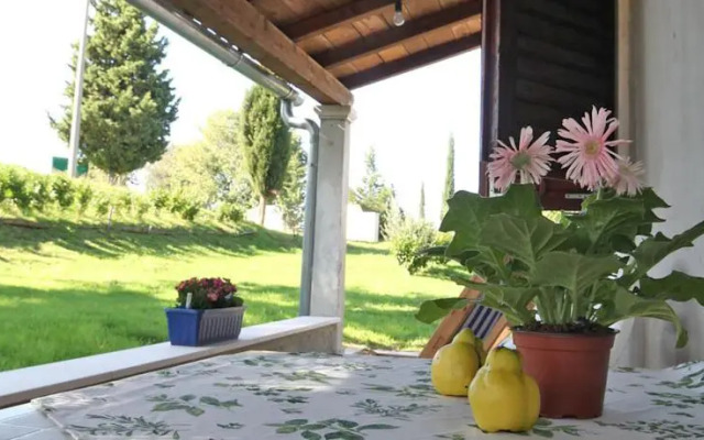 Apartment Vojskovic 101