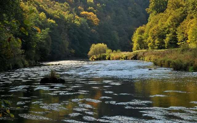 U Mišpule