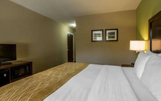 Comfort Inn Sylva - Cullowhee