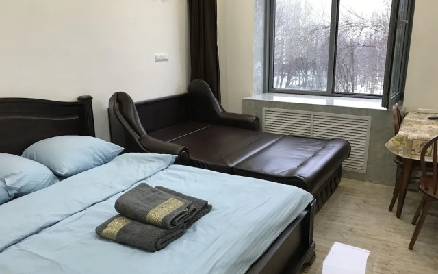 DZirconia Elagin Island Apartments