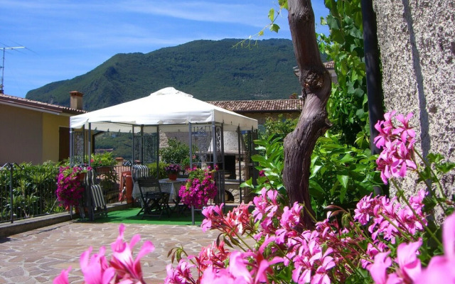 Rustico Piletta - Mimosa