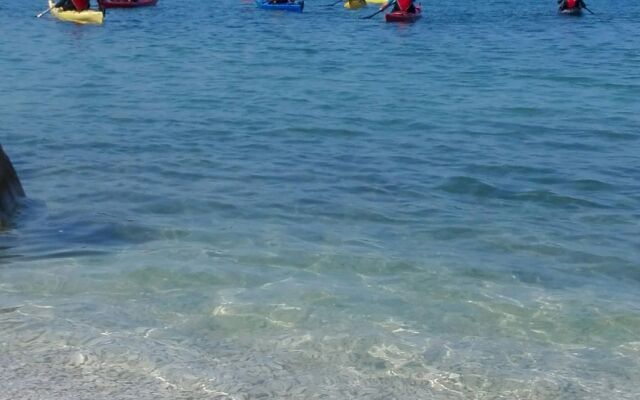 Apartment Markas - pet friendly: A1 Bella vista 1  Rtina, Zadar riviera