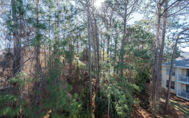 Fun Times at Pointe of View