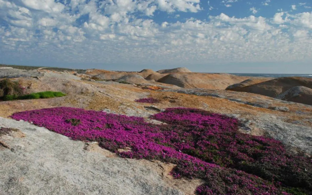 The Oystercatchers Haven at Paternoster