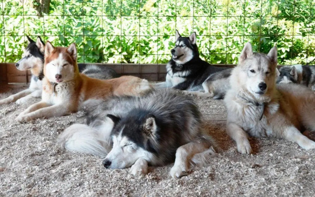 Гималайский дом Этномир