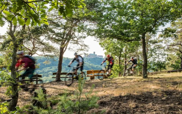 Suites Mitte Apartmenthaus