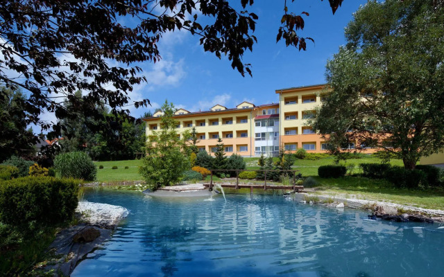 Wellness Hotel Frymburk