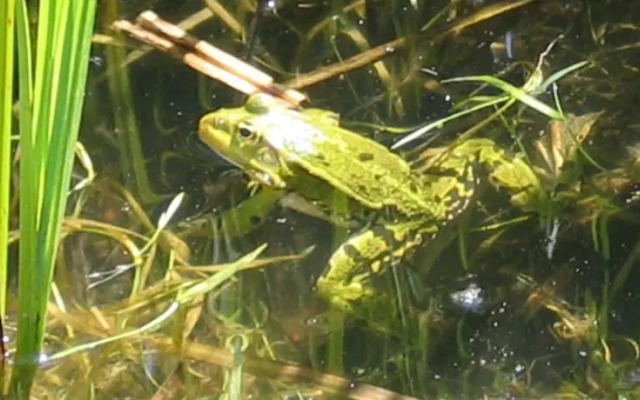 Auberge de la Peche a la Truite