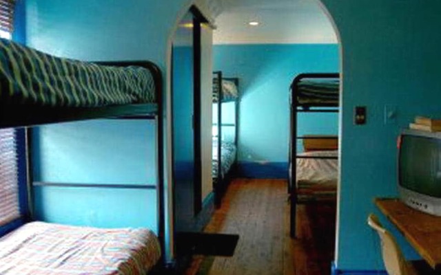 London Plane Backpackers