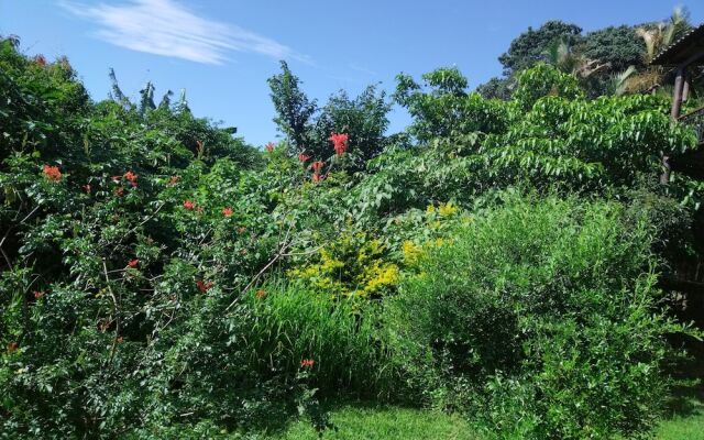 The Tropical Hut Lodges